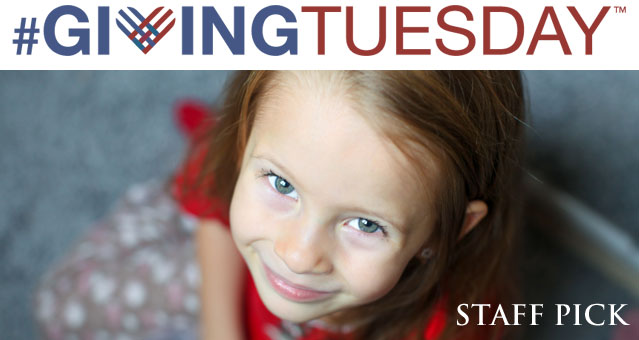 Giving Tuesday: American Majority Staff Picks