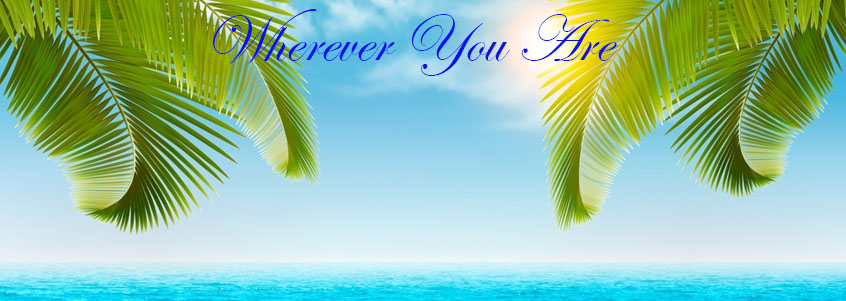 Online Courses Online Courses