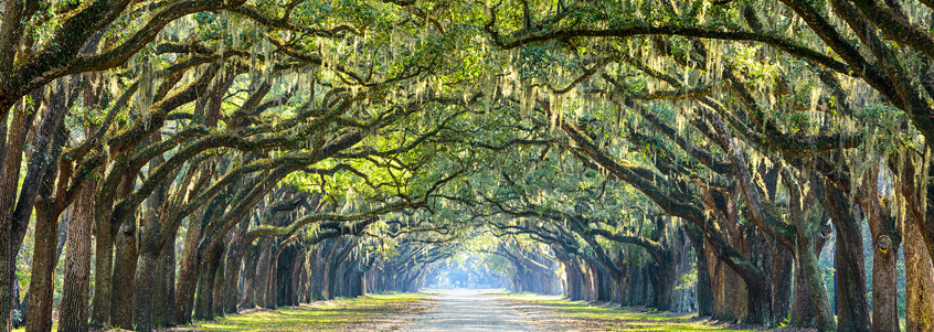 Georgia Georgia