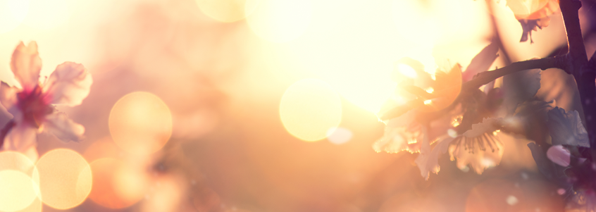 sunlight sunlight