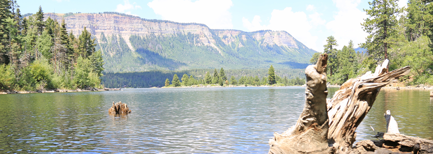 lake near durango lake near durango