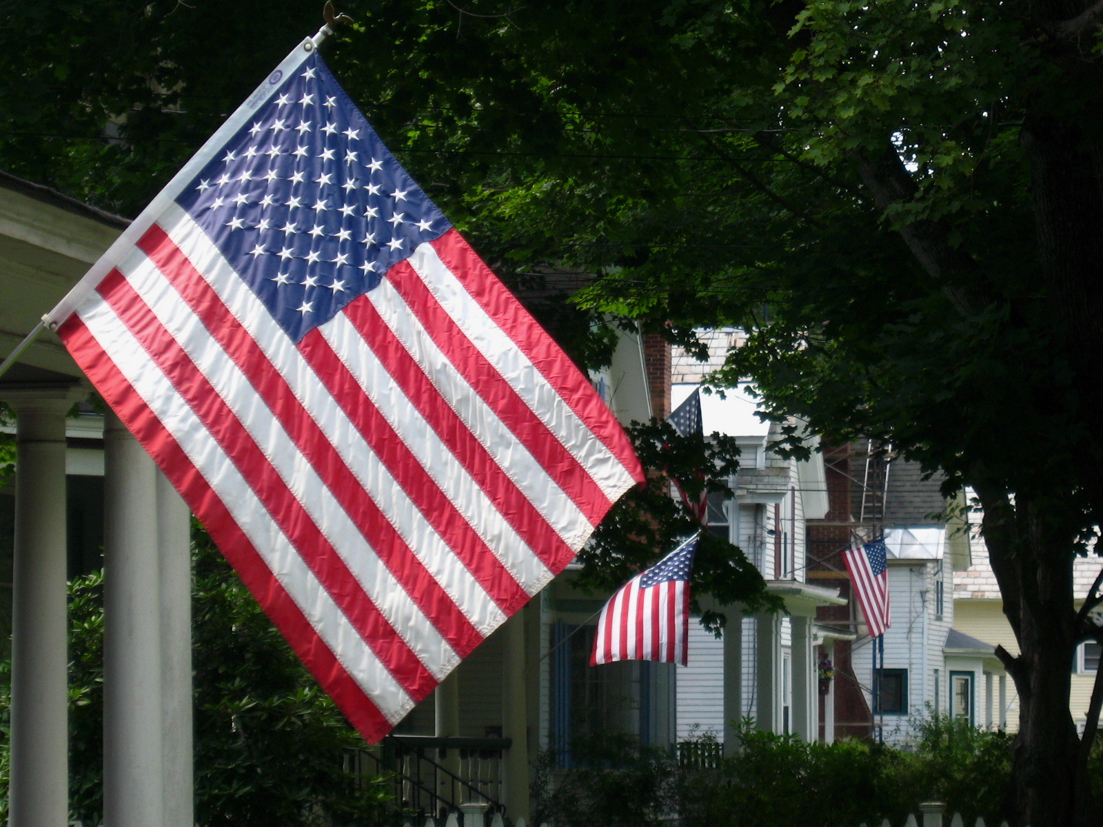 American flags blowing in the breeze in an old New England rural neighborhood